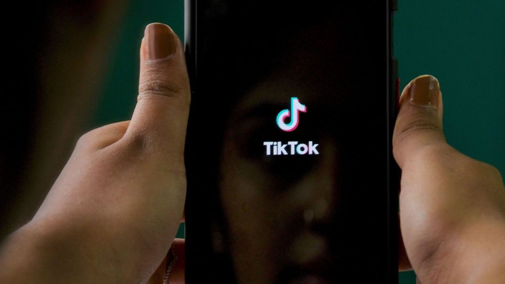 tiktok-ceo:-facebook-is-making-'copycat'-service-'disguised-as-patriotism'