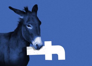 top-antitrust-democrat:-there's-a-case-to-break-up-facebook