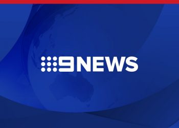 bluebell,-australia's-instagram-famous-bird-goes-missing