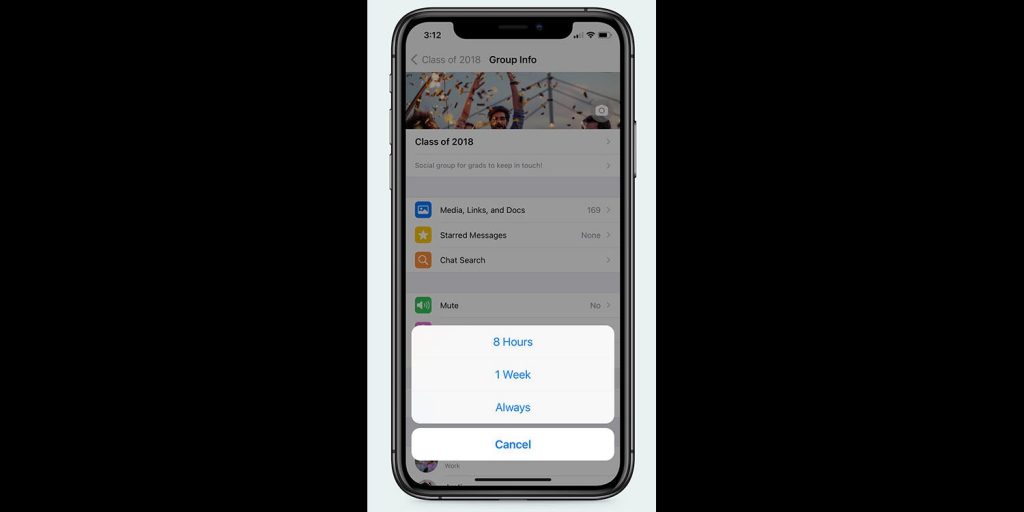 you-can-now-mute-whatsapp-chats-forever-–-with-one-drawback