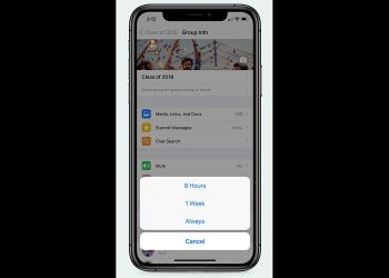 you-can-now-mute-whatsapp-chats-forever-–-with-one-drawback