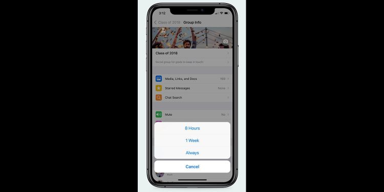 you-can-now-mute-whatsapp-chats-forever-–-with-one-drawback