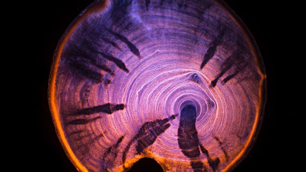 ernie-button-at-photo-eye-gallery