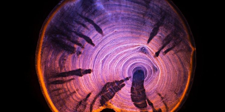 ernie-button-at-photo-eye-gallery