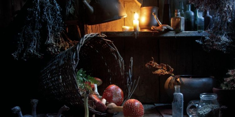 goblincore's-feral-coziness-will-get-you-through-the-rest-of-the-year