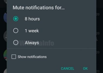 whatsapp's-new-mute-forever-feature!