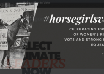 the-yarn-store-would-like-you-to-vote
