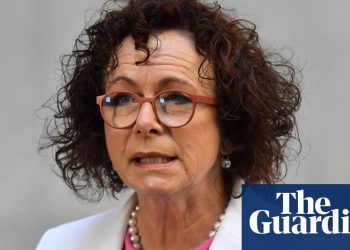facebook-apologises-to-australian-mp-falsely-accused-by-conspiracy-theorist-of-being-in-…