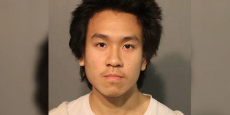 pedophilia-crusader-amos-yee-pleads-not-guilty-to-child-porn-in-us:-report