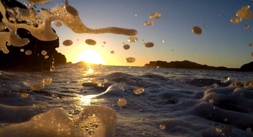 salmon-farm-creates-'serious-threat'-to-life-in-a-protected-scottish-sea-zone