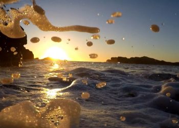 salmon-farm-creates-'serious-threat'-to-life-in-a-protected-scottish-sea-zone