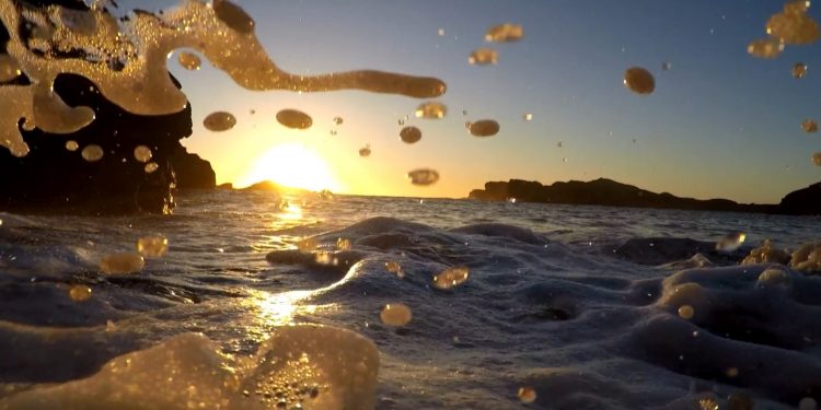 salmon-farm-creates-'serious-threat'-to-life-in-a-protected-scottish-sea-zone