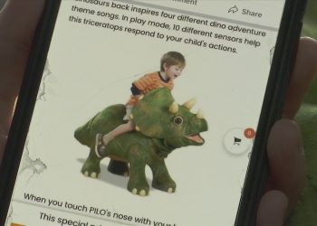 toy-ads-on-facebook-scamming-local-families-ahead-of-the-holidays
