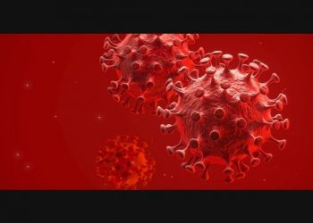 barnstable-adds-65-coronavirus-cases,-remains-moderate-risk