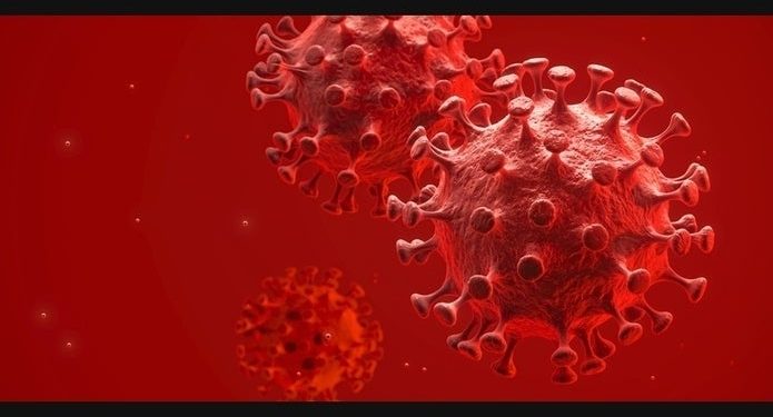 barnstable-adds-65-coronavirus-cases,-remains-moderate-risk