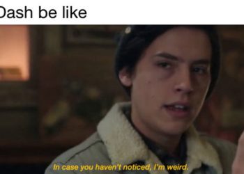 19-tweets-and-tumblr-posts-that-sum-up-netflix's-“dash-and-lily”