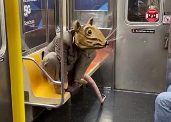 man-dressed-as-giant-rat-takes-subway-mask-requirement-to-new-heights