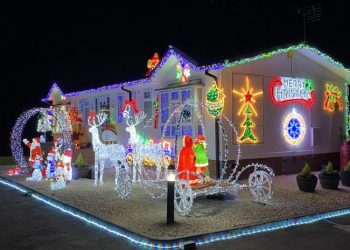 shuttle-and-cook's-garden-centre-search-for-best-xmas-decorations