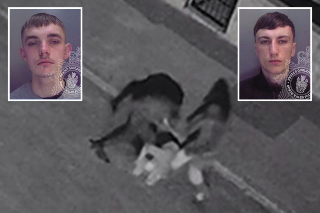 snapchat-thugs-filmed-themselves-stamping-on-'defenceless'-victim's-head-and-kicking-him-in-the-…