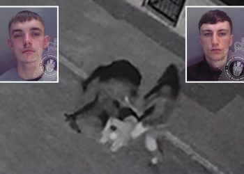 snapchat-thugs-filmed-themselves-stamping-on-'defenceless'-victim's-head-and-kicking-him-in-the-…
