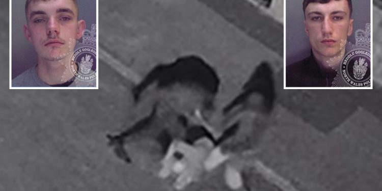 snapchat-thugs-filmed-themselves-stamping-on-'defenceless'-victim's-head-and-kicking-him-in-the-…