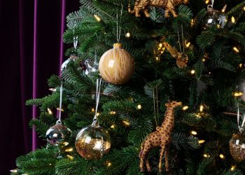 how-to-take-instagram-worthy-photos-of-your-christmas-decorations