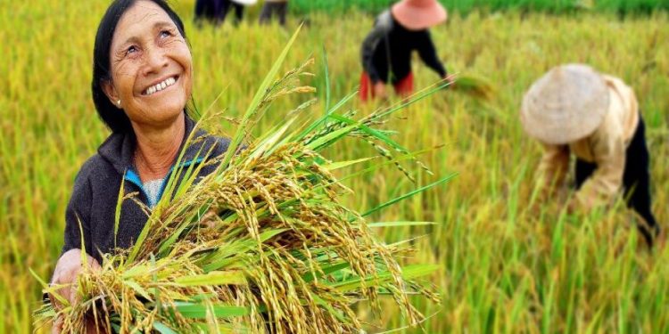 kisan-diwas-2020:-wishes,-quotes,-whatsapp-and-facebook-status-to-share-on-national-farmers-…