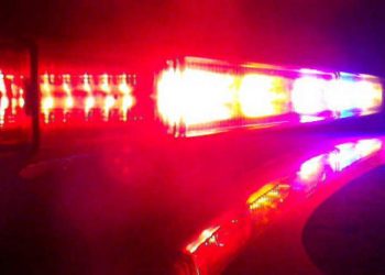 colorado-springs-police-warn-of-identity-theft-scam-in-the-area