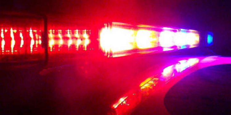 colorado-springs-police-warn-of-identity-theft-scam-in-the-area