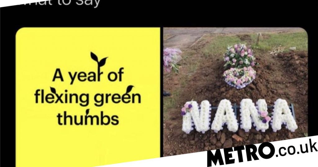 snapchat's-end-of-year-review-congratulates-grieving-users-on-gardening-skills