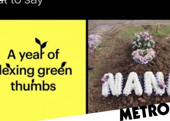 snapchat's-end-of-year-review-congratulates-grieving-users-on-gardening-skills