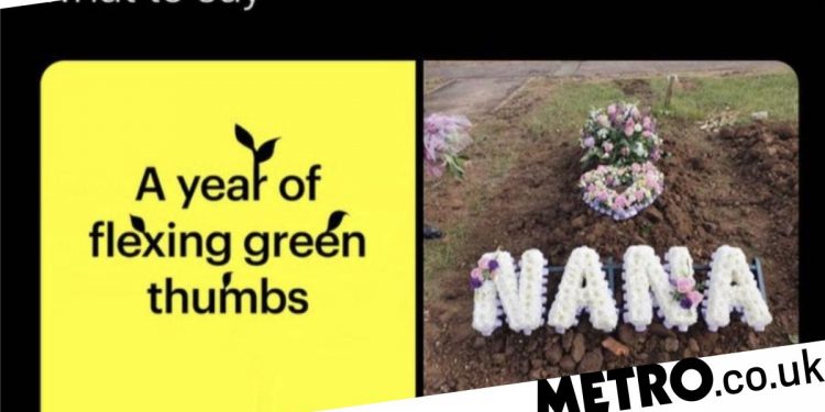 snapchat's-end-of-year-review-congratulates-grieving-users-on-gardening-skills