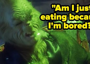14-times-the-grinch-perfectly-summed-up-the-year-2020