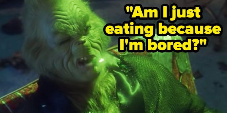 14-times-the-grinch-perfectly-summed-up-the-year-2020
