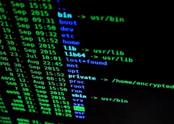 human-rights-groups-join-whatsapp-suit-against-israel-spyware-vendor