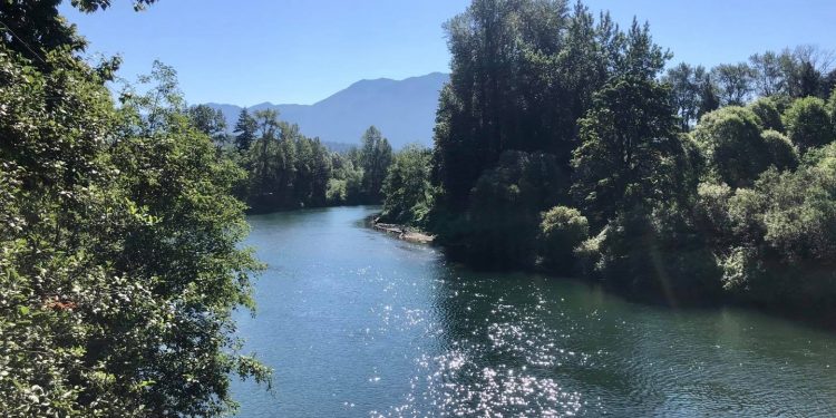 top-ten-snoqualmie-valley-photos-of-2020-(according-to-instagram)
