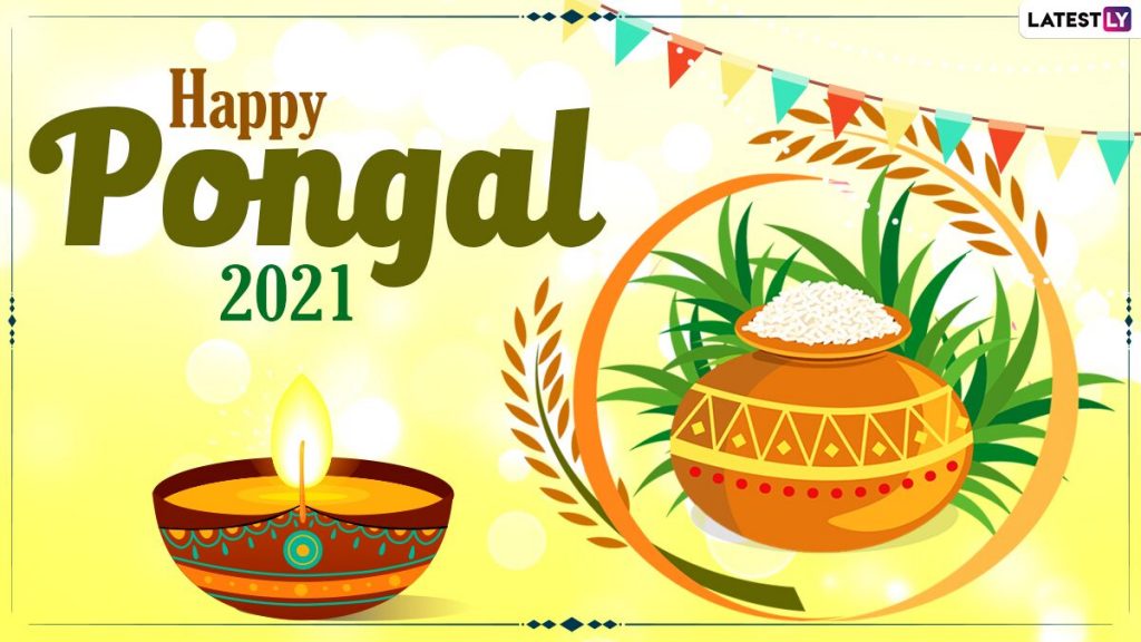 happy-pongal-2021-wishes-and-wallpapers:-whatsapp-stickers,-facebook-greetings,-instagram-…