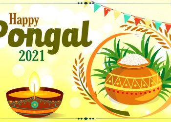 happy-pongal-2021-wishes-and-wallpapers:-whatsapp-stickers,-facebook-greetings,-instagram-…