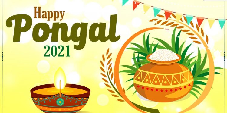 happy-pongal-2021-wishes-and-wallpapers:-whatsapp-stickers,-facebook-greetings,-instagram-…