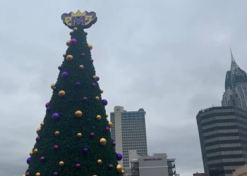 fake-facebook-page-sparks-permit-fee-rumors-over-yardi-gras