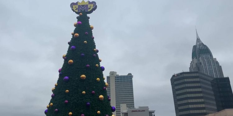 fake-facebook-page-sparks-permit-fee-rumors-over-yardi-gras