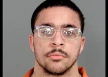man-in-custody-accused-of-kidnapping-genesee-county-girl-he-met-on-snapchat-and-video-game
