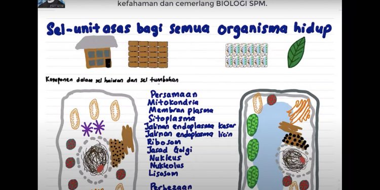 lecturer-uses-youtube-to-breathe-life-into-biology-lessons-for-school-students