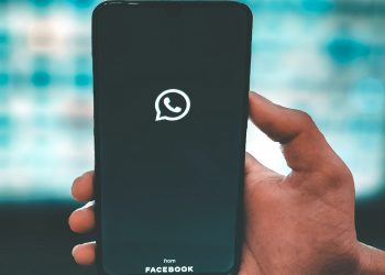 burn-the-copycat,-twitter's-newsletter-acquisition,-south-africa's-crypto-crackdown