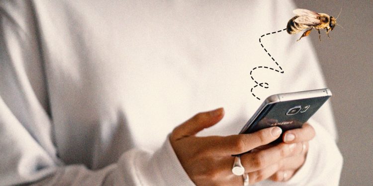 what-we-know-about-hive,-the-myspace,-twitter,-instagram-mashup-social-media-app-that-…