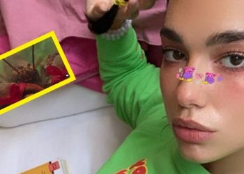 dua-lipa-teases-tour-with-lobsters-&-sexy-sassy-video-on-instagram!?