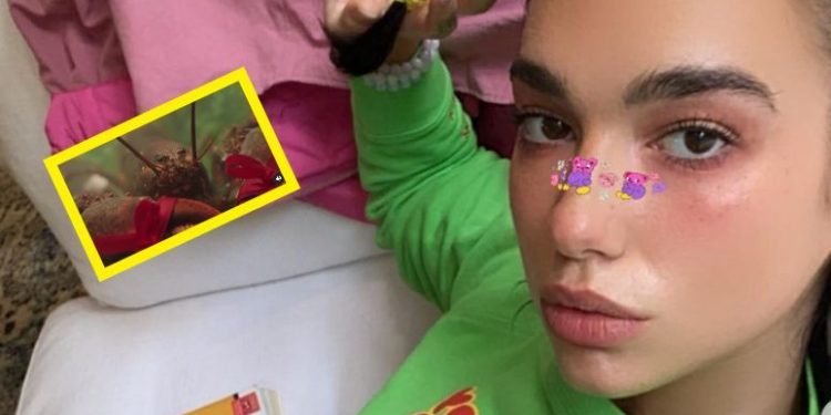 dua-lipa-teases-tour-with-lobsters-&-sexy-sassy-video-on-instagram!?
