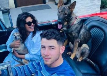 priyanka-chopra-was-banned-from-using-jonas-pet-gino's-instagram-for-this-reason
