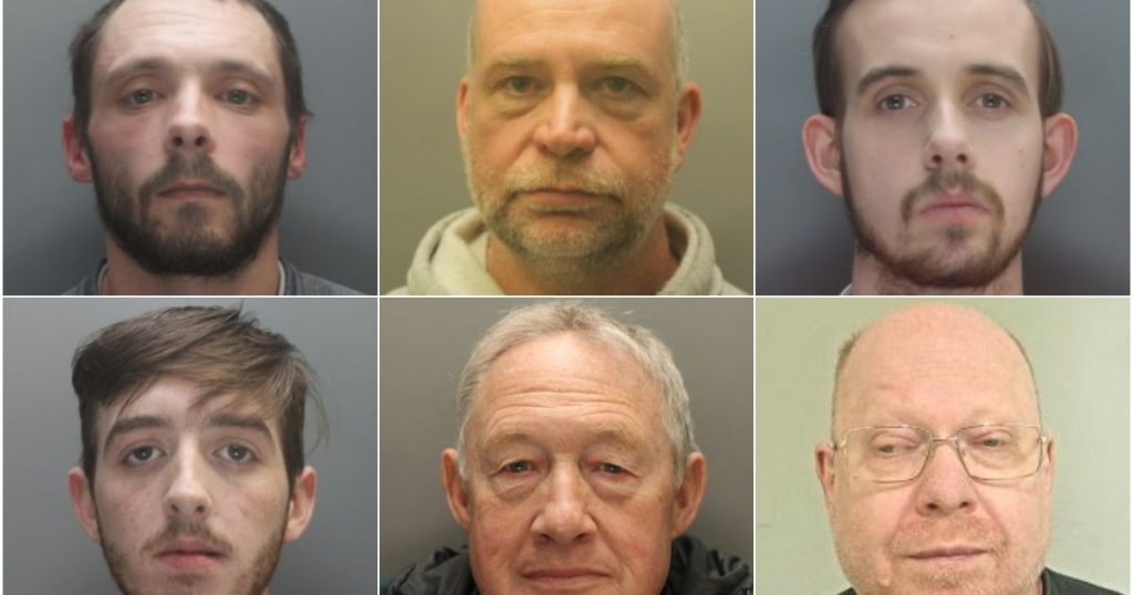 faces-of-the-12-paedophiles-and-perverts-brought-to-justice-this-year-in-merseyside
