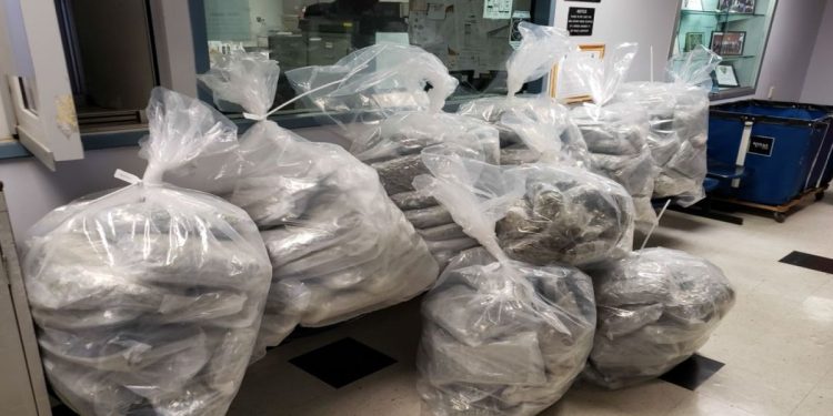 brooklyn-slaying-suspect-seeking-bail-says-he's-no-threat-to-community;-prosecutors-argue-pictures-…